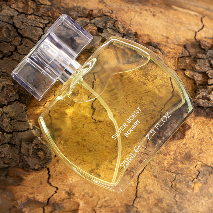 عطر مردانه مدل Silver Scent