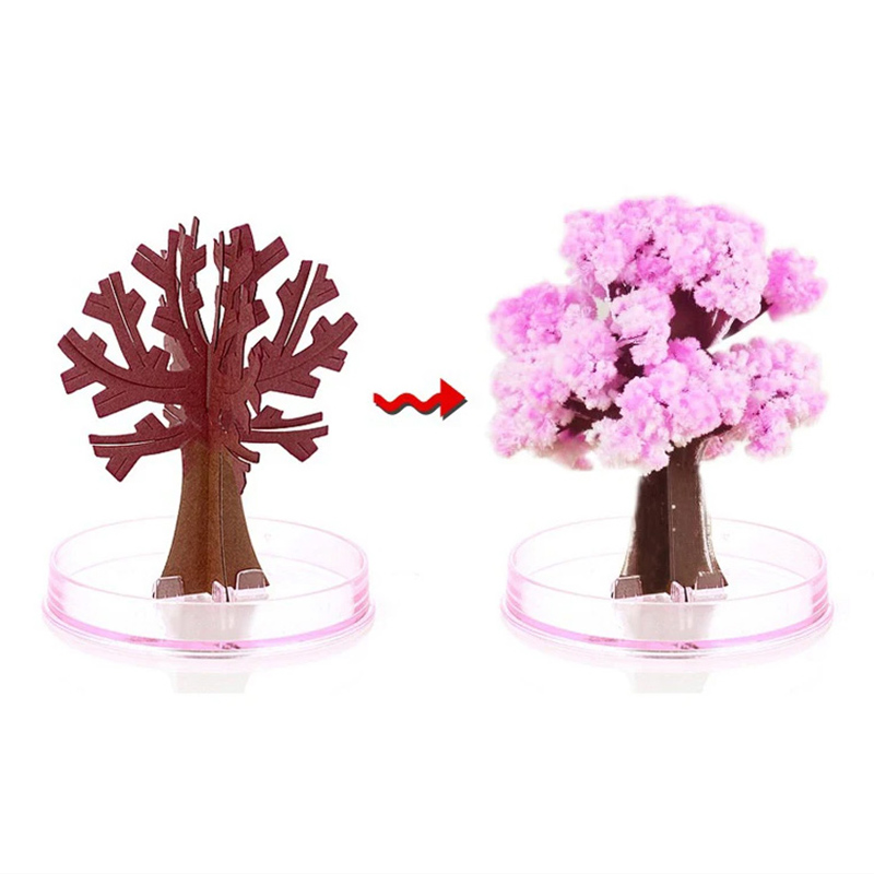 درخت جادویی